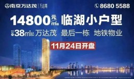 南京万达最新爆料,揭秘项目进展与未来规划