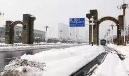 石家庄爆料下雪事件最新,城市交通受阻，市民生活受影响